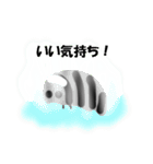 庭先のころちゃん（個別スタンプ：24）