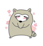 The daily life of small raccoon（個別スタンプ：1）
