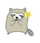 The daily life of small raccoon（個別スタンプ：3）
