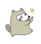The daily life of small raccoon（個別スタンプ：16）
