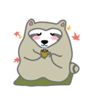 The daily life of small raccoon（個別スタンプ：24）