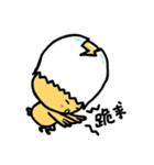 Don't underestimate the chicken eggshell（個別スタンプ：21）