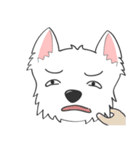 I LOVE West Highland White Terrier part4（個別スタンプ：5）