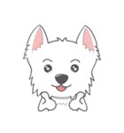 I LOVE West Highland White Terrier part4（個別スタンプ：7）