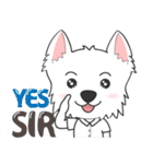 I LOVE West Highland White Terrier part4（個別スタンプ：11）