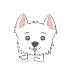 I LOVE West Highland White Terrier part4（個別スタンプ：21）