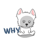 I LOVE West Highland White Terrier part4（個別スタンプ：22）