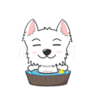 I LOVE West Highland White Terrier part4（個別スタンプ：24）