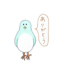 ことりの独り言（個別スタンプ：19）