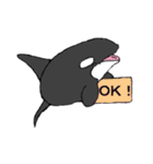 シャチたち（個別スタンプ：5）