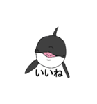 シャチたち（個別スタンプ：7）