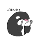シャチたち（個別スタンプ：24）