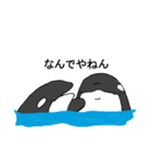 シャチたち（個別スタンプ：34）
