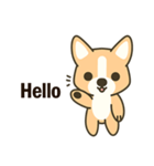 Little Corgi(Dog)（個別スタンプ：1）