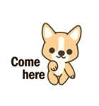 Little Corgi(Dog)（個別スタンプ：6）