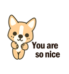 Little Corgi(Dog)（個別スタンプ：13）