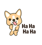 Little Corgi(Dog)（個別スタンプ：14）