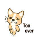 Little Corgi(Dog)（個別スタンプ：16）