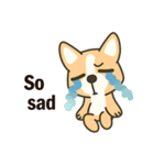 Little Corgi(Dog)（個別スタンプ：18）