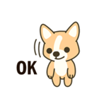 Little Corgi(Dog)（個別スタンプ：20）