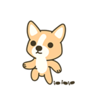 Little Corgi(Dog)（個別スタンプ：21）