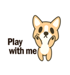 Little Corgi(Dog)（個別スタンプ：22）