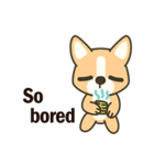 Little Corgi(Dog)（個別スタンプ：23）