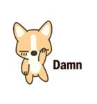 Little Corgi(Dog)（個別スタンプ：25）