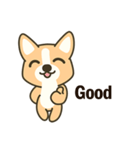 Little Corgi(Dog)（個別スタンプ：26）