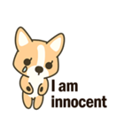 Little Corgi(Dog)（個別スタンプ：27）