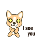 Little Corgi(Dog)（個別スタンプ：31）