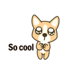 Little Corgi(Dog)（個別スタンプ：33）