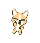 Little Corgi(Dog)（個別スタンプ：35）