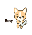 Little Corgi(Dog)（個別スタンプ：36）