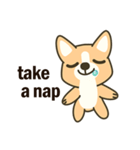 Little Corgi(Dog)（個別スタンプ：39）