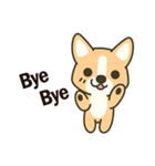 Little Corgi(Dog)（個別スタンプ：40）