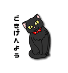 黒猫紳士セバス（個別スタンプ：1）