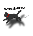 黒猫紳士セバス（個別スタンプ：34）