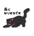 黒猫紳士セバス（個別スタンプ：39）