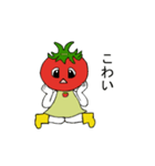 A tomato girl（個別スタンプ：11）