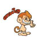 LOVE MONKEY（個別スタンプ：13）