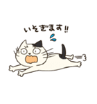 にゃんこっス！（個別スタンプ：5）