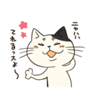 にゃんこっス！（個別スタンプ：13）