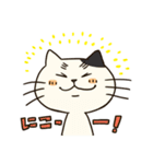 にゃんこっス！（個別スタンプ：23）