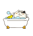 にゃんこっス！（個別スタンプ：28）