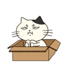 にゃんこっス！（個別スタンプ：30）