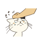 にゃんこっス！（個別スタンプ：31）