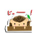 ハリネズミ ホピの1日。（個別スタンプ：19）