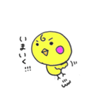 ぴよこ（個別スタンプ：5）