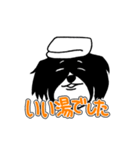 ワンちゃん百面相（個別スタンプ：21）